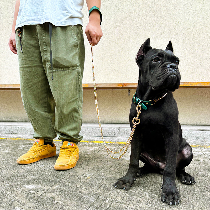 Loudik Wholesale Pet Collar Le - Leather Strap Quick Release 评论和价格